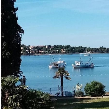 Apartment Villa Angelina, 70M From The Beach, Free Parking Novigrad Istria Buitenkant foto