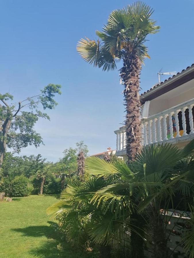 Apartment Villa Angelina, 70M From The Beach, Free Parking Novigrad Istria Buitenkant foto