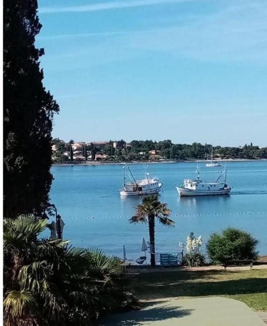Apartment Villa Angelina, 70M From The Beach, Free Parking Novigrad Istria Buitenkant foto