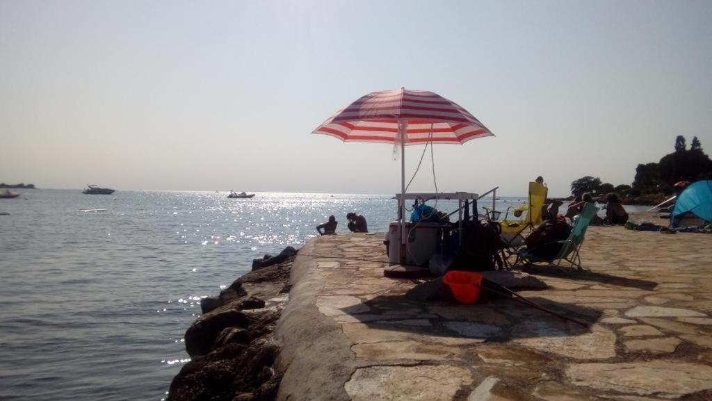 Apartment Villa Angelina, 70M From The Beach, Free Parking Novigrad Istria Buitenkant foto