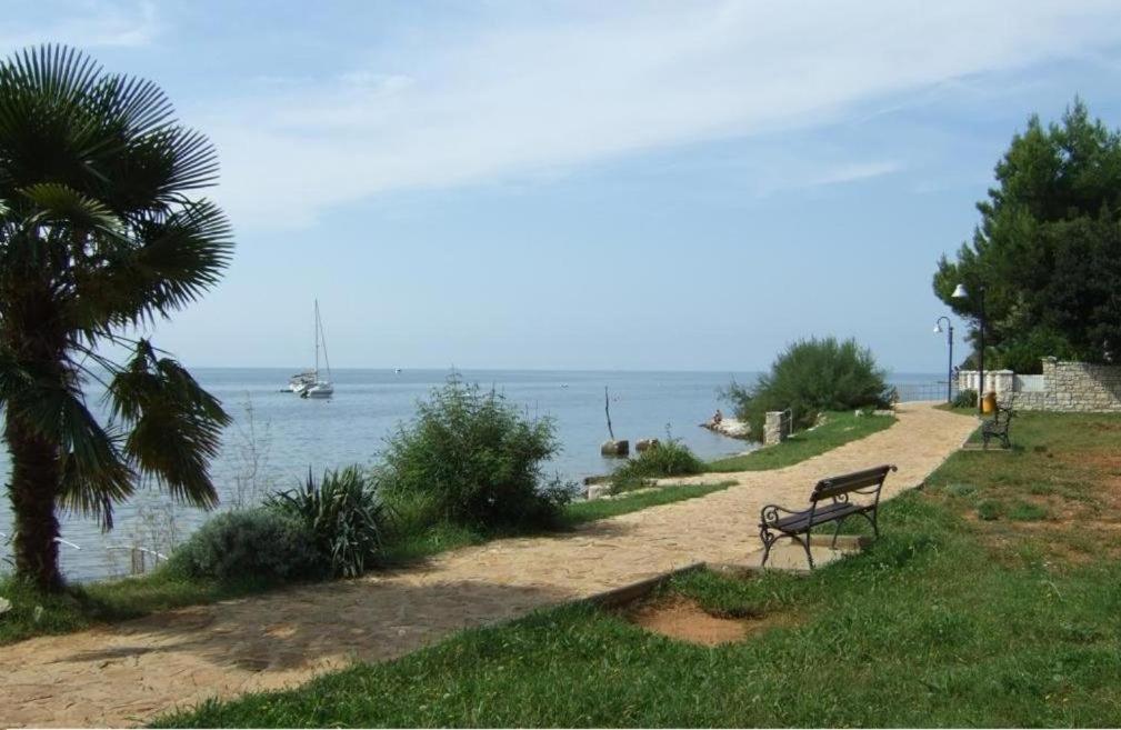 Apartment Villa Angelina, 70M From The Beach, Free Parking Novigrad Istria Buitenkant foto