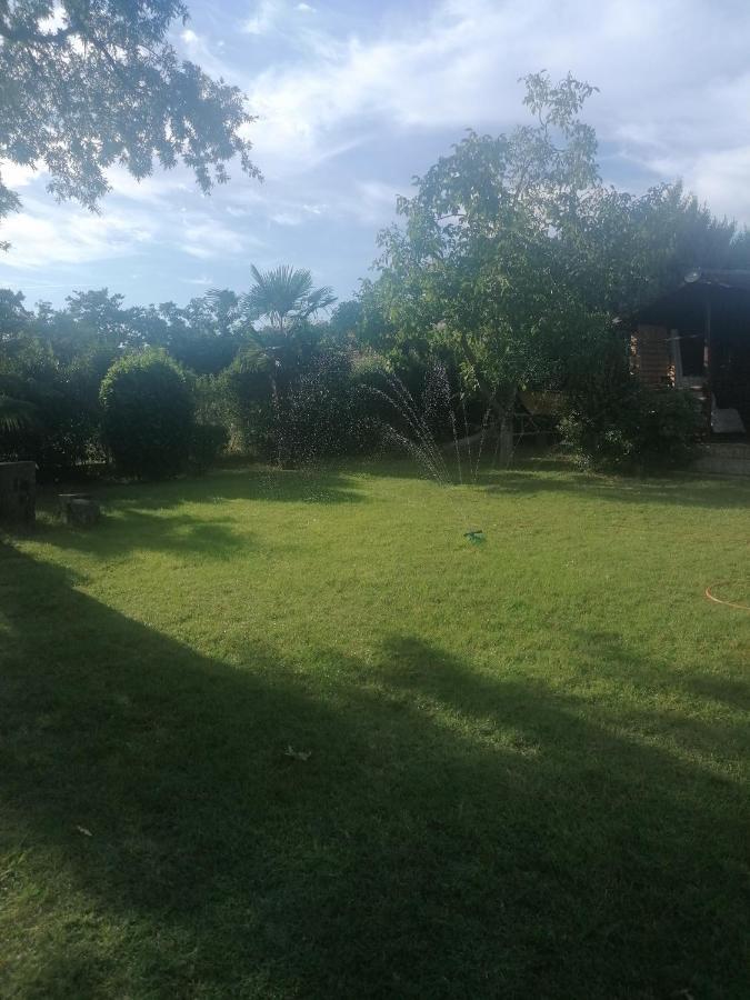 Apartment Villa Angelina, 70M From The Beach, Free Parking Novigrad Istria Buitenkant foto