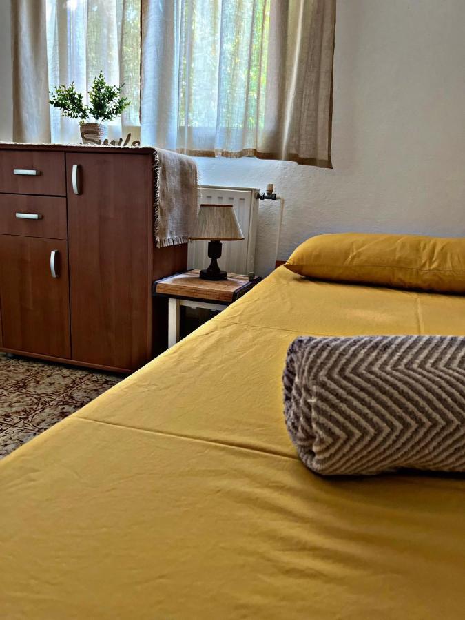 Apartment Villa Angelina, 70M From The Beach, Free Parking Novigrad Istria Buitenkant foto