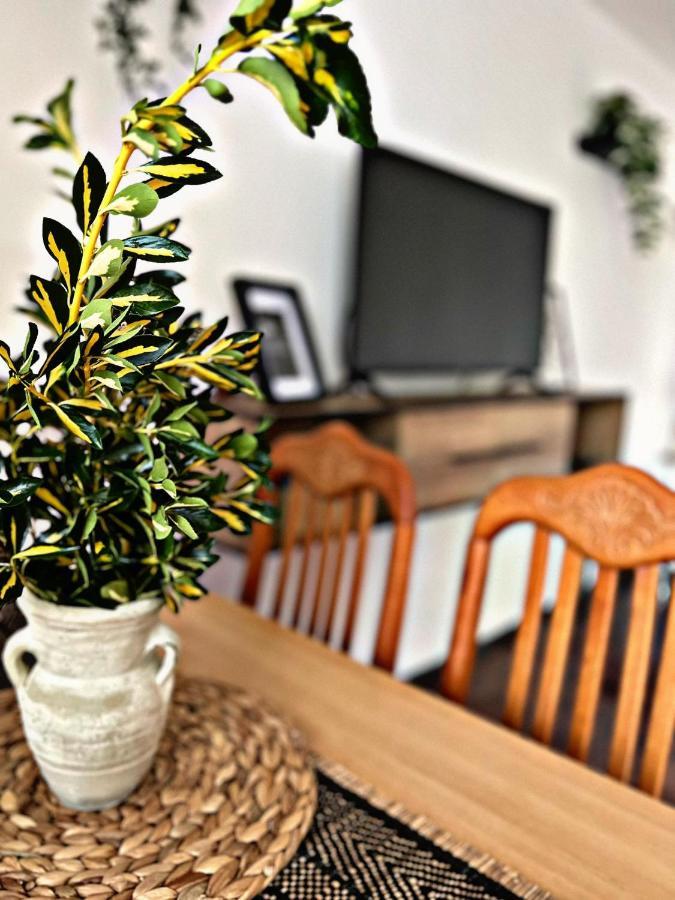 Apartment Villa Angelina, 70M From The Beach, Free Parking Novigrad Istria Buitenkant foto
