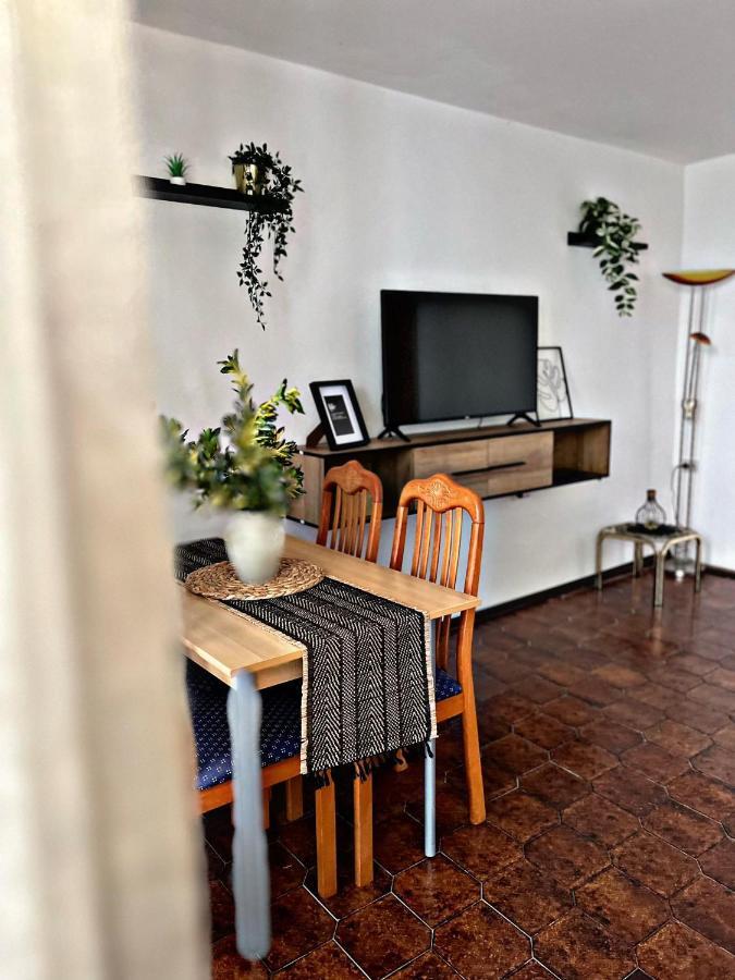 Apartment Villa Angelina, 70M From The Beach, Free Parking Novigrad Istria Buitenkant foto