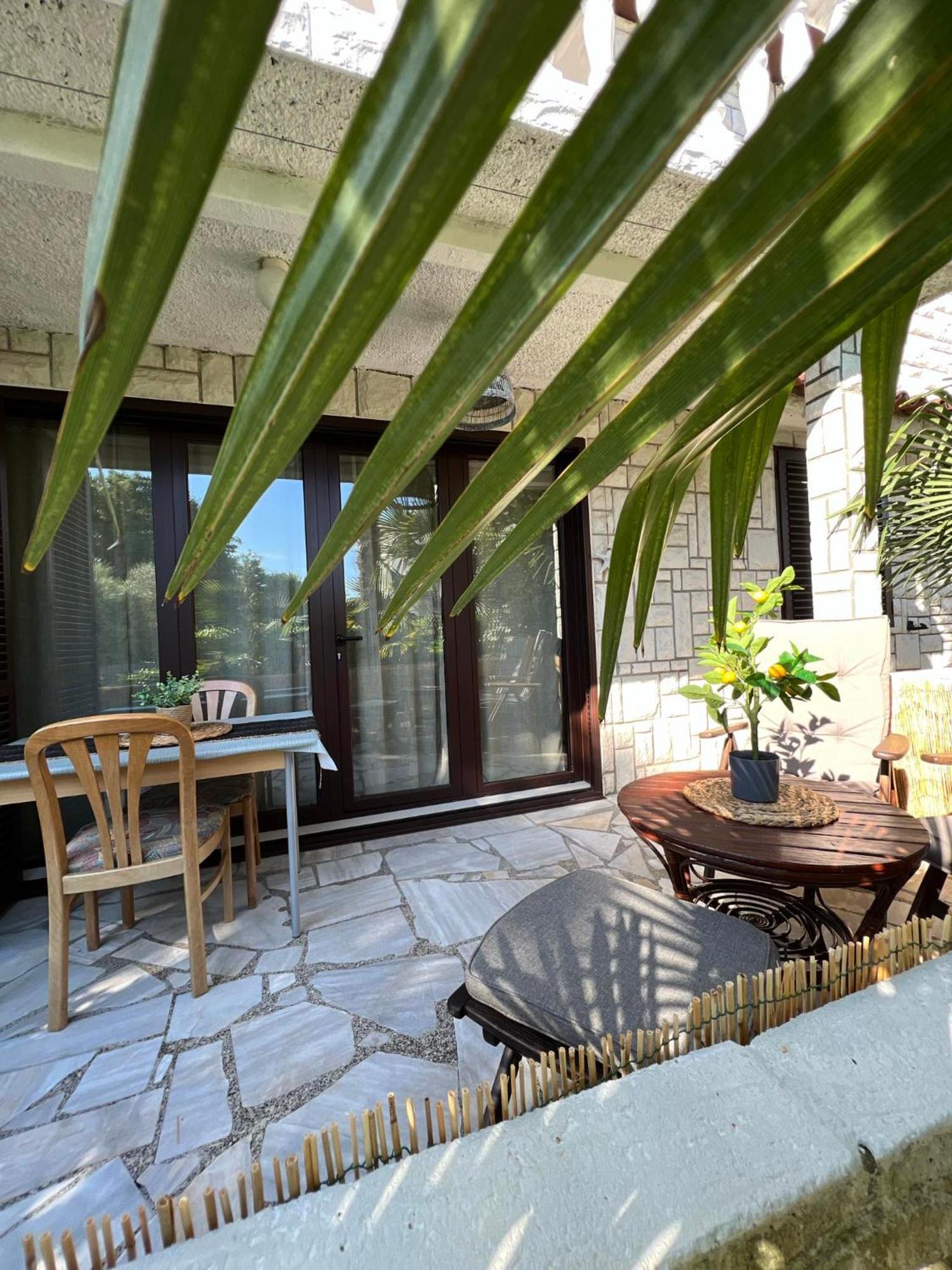 Apartment Villa Angelina, 70M From The Beach, Free Parking Novigrad Istria Buitenkant foto