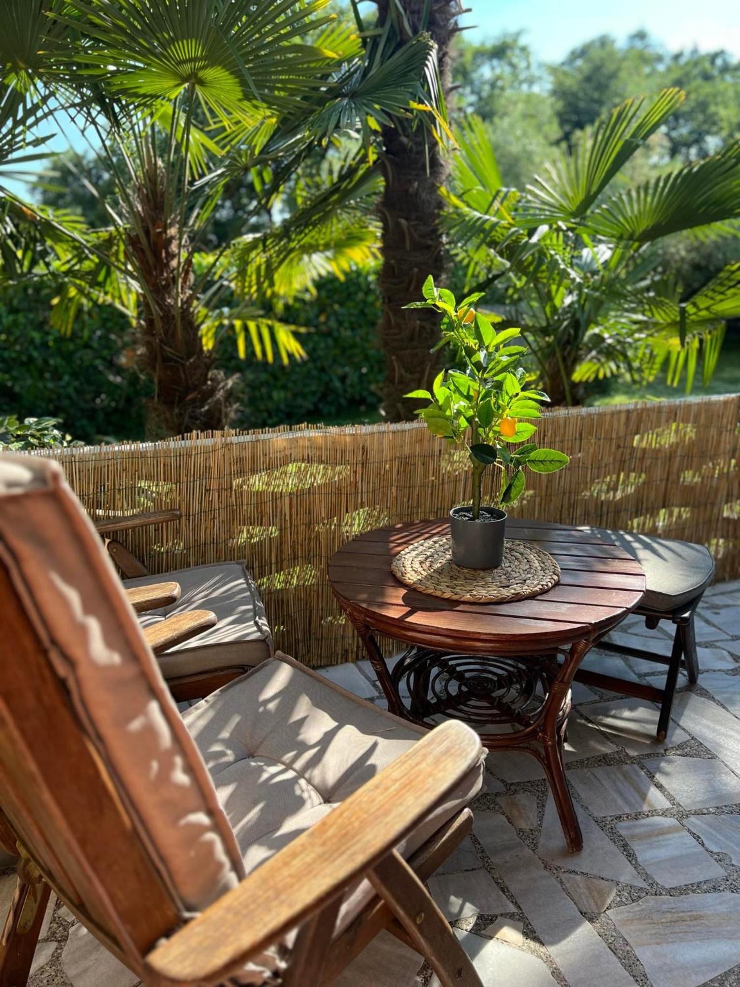 Apartment Villa Angelina, 70M From The Beach, Free Parking Novigrad Istria Buitenkant foto