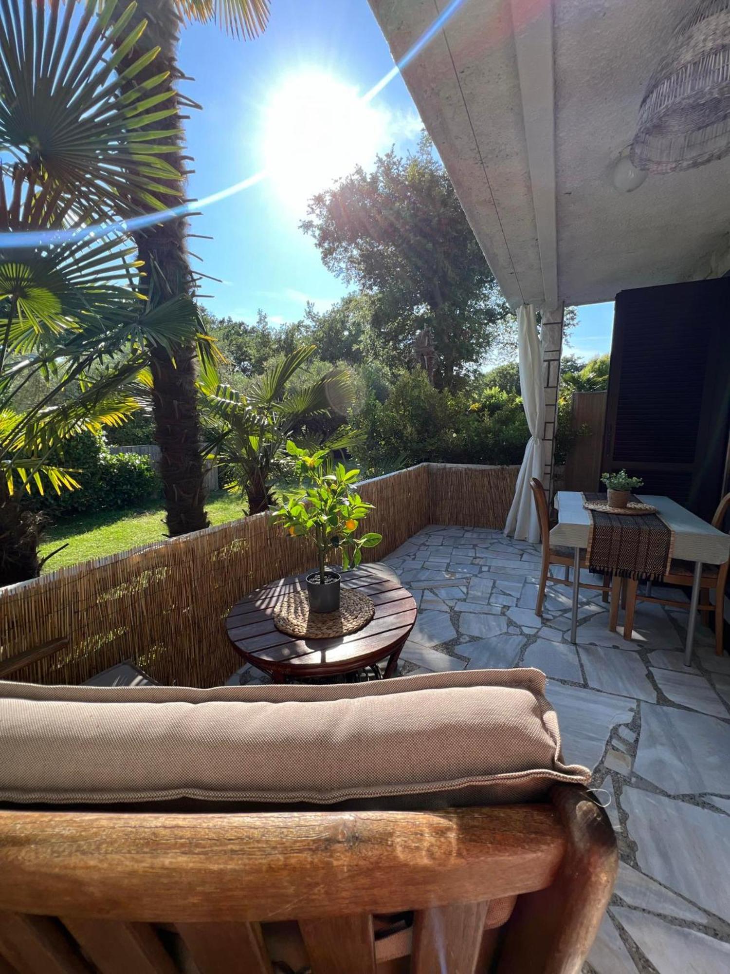 Apartment Villa Angelina, 70M From The Beach, Free Parking Novigrad Istria Buitenkant foto